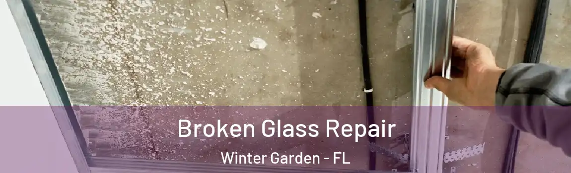 Broken Glass Repair Winter Garden - FL