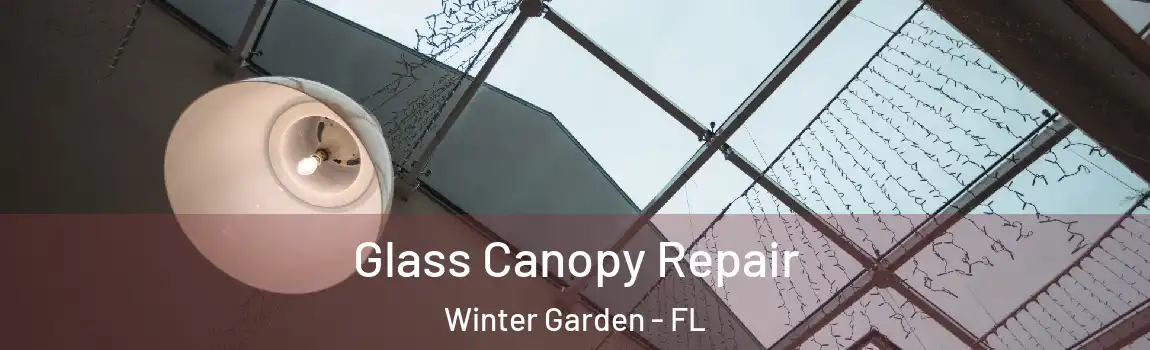 Glass Canopy Repair Winter Garden - FL