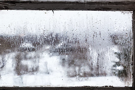Defogging Double Pane Windows in Winter Garden, FL
