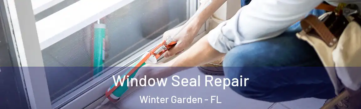 Window Seal Repair Winter Garden - FL